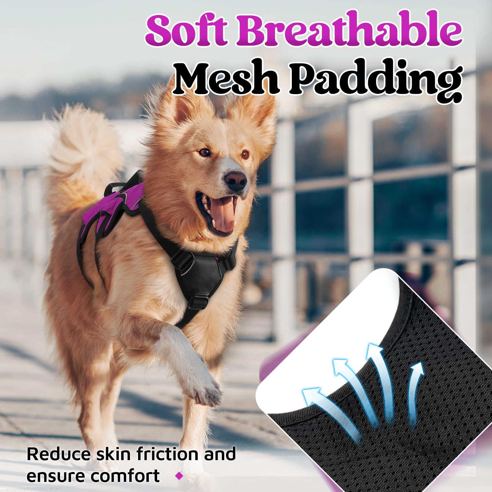 Rabbitgoo escape-proof chest and belly straps deter escapes.