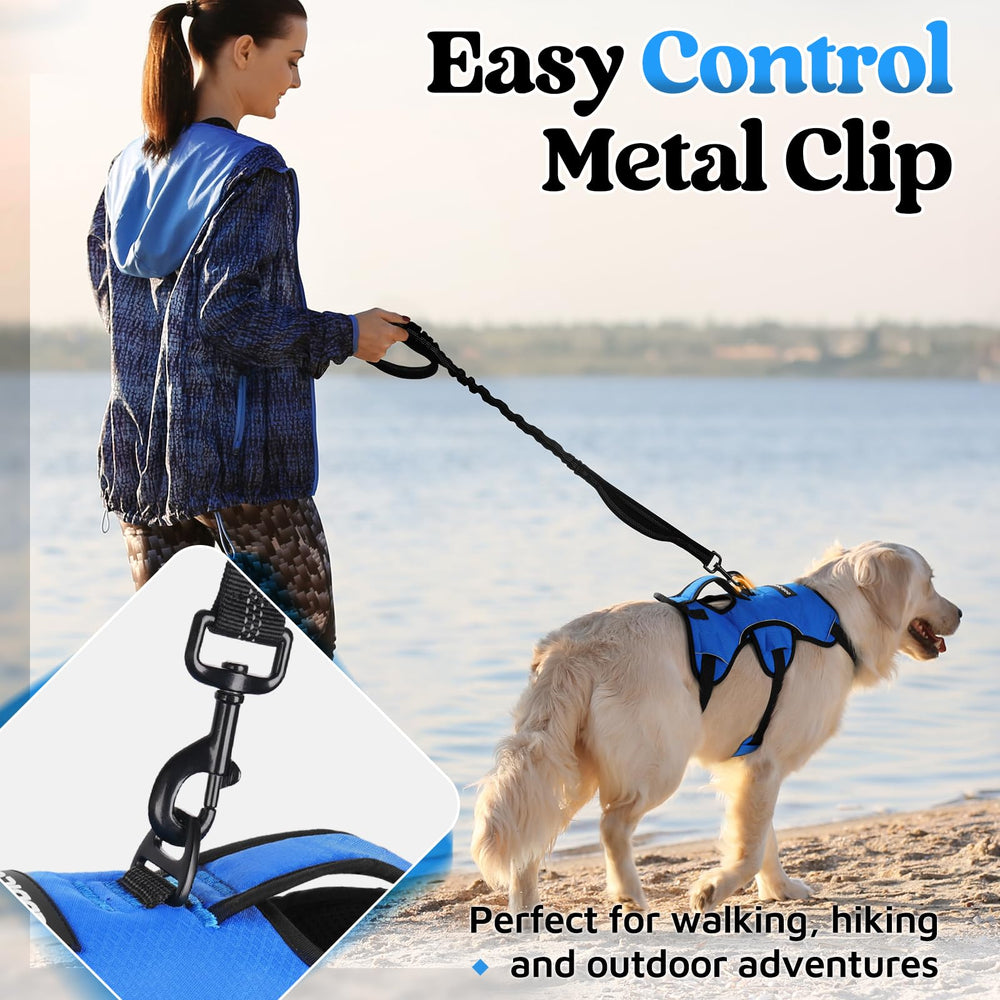 rabbitgoo harness with five adjustable straps for a secure fit