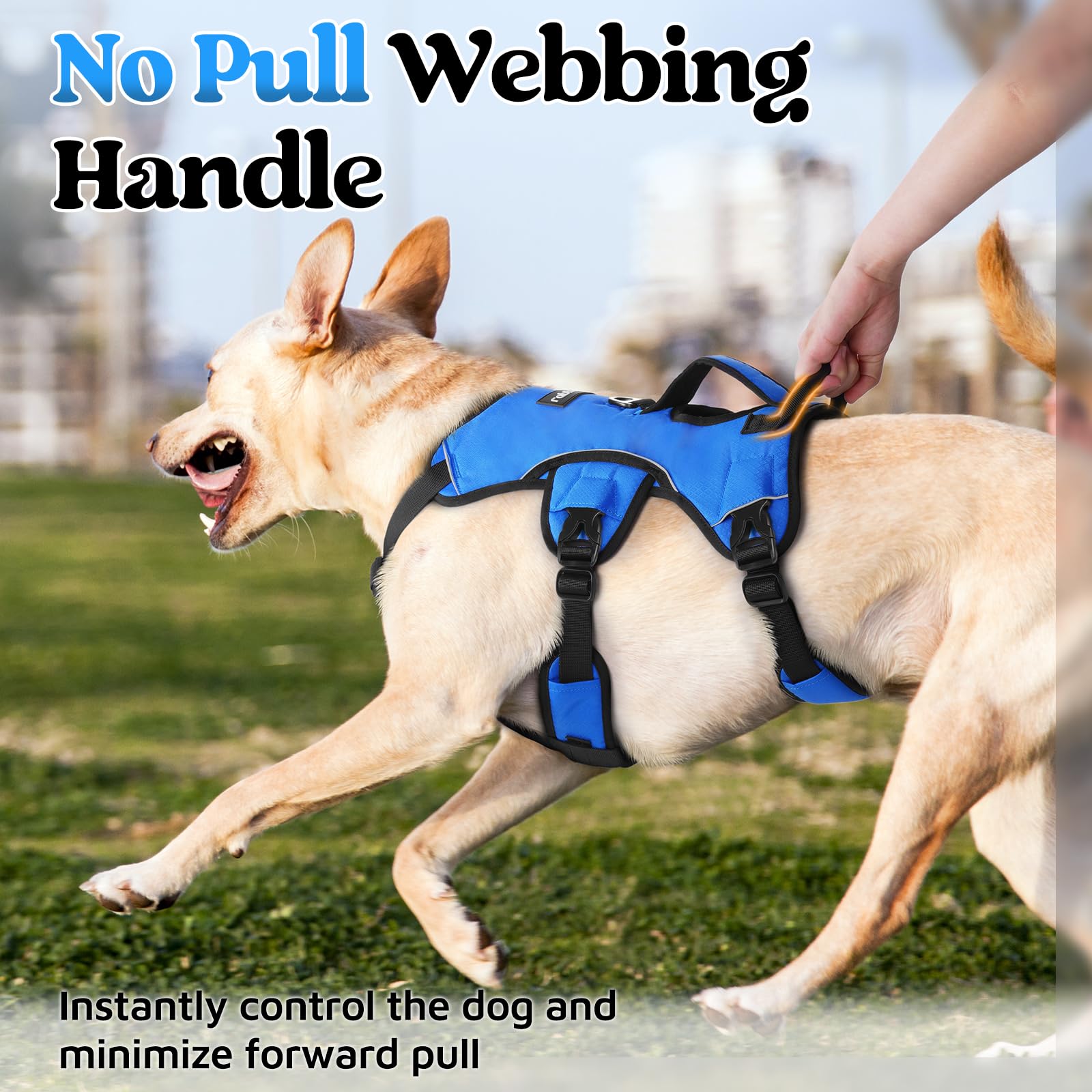 rabbitgoo back D-ring on durable harness for relaxed leash walking