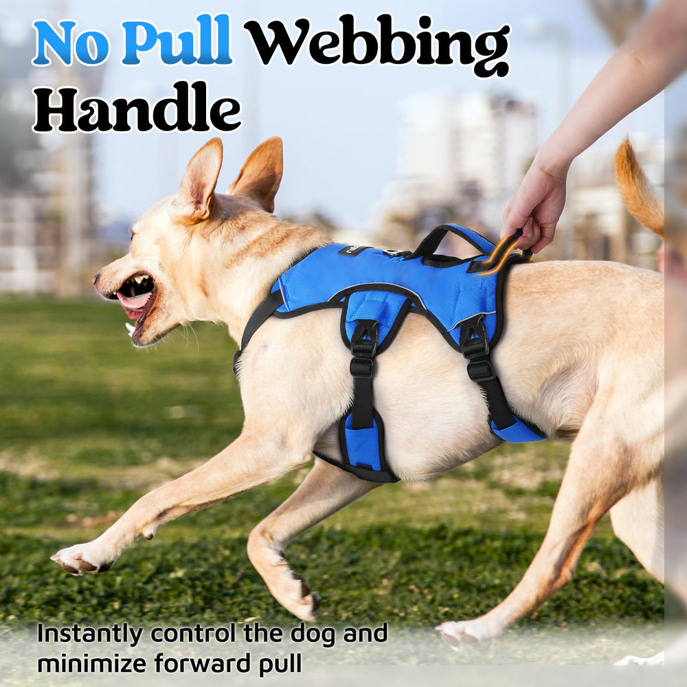 rabbitgoo back D-ring on durable harness for relaxed leash walking
