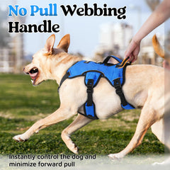 rabbitgoo back D-ring on durable harness for relaxed leash walking