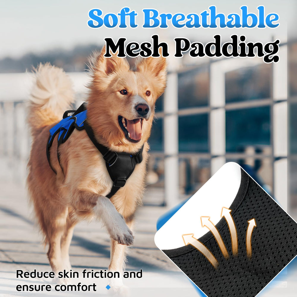 rabbitgoo durable polyester webbing on escape-proof harness