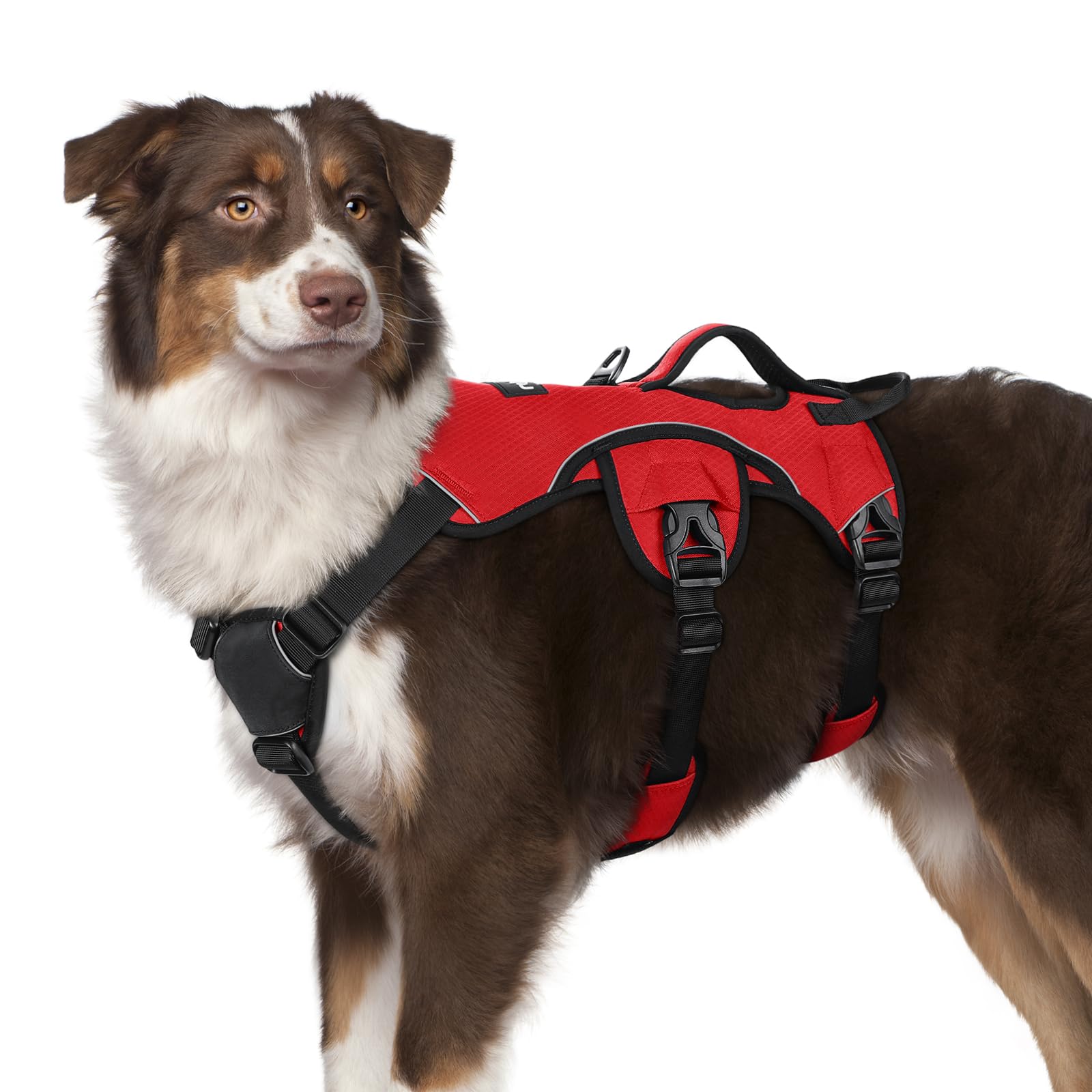 Rabbitgoo escape proof harness front view for secure control during walks