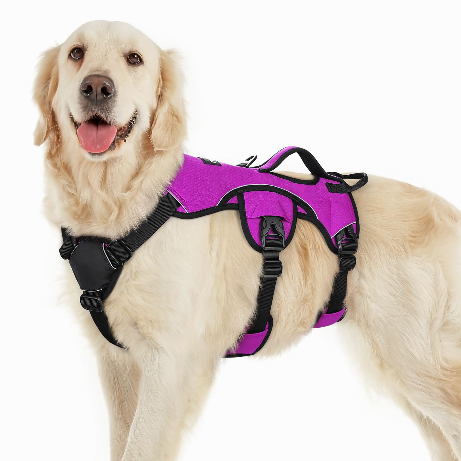 Rabbitgoo Escape Proof Dog Harness with lift handle for easy obstacle navigation.