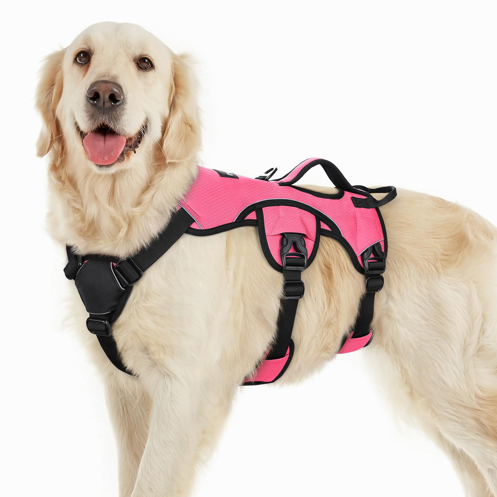 Rabbitgoo escape-proof harness full view showing secure fit and padded comfort