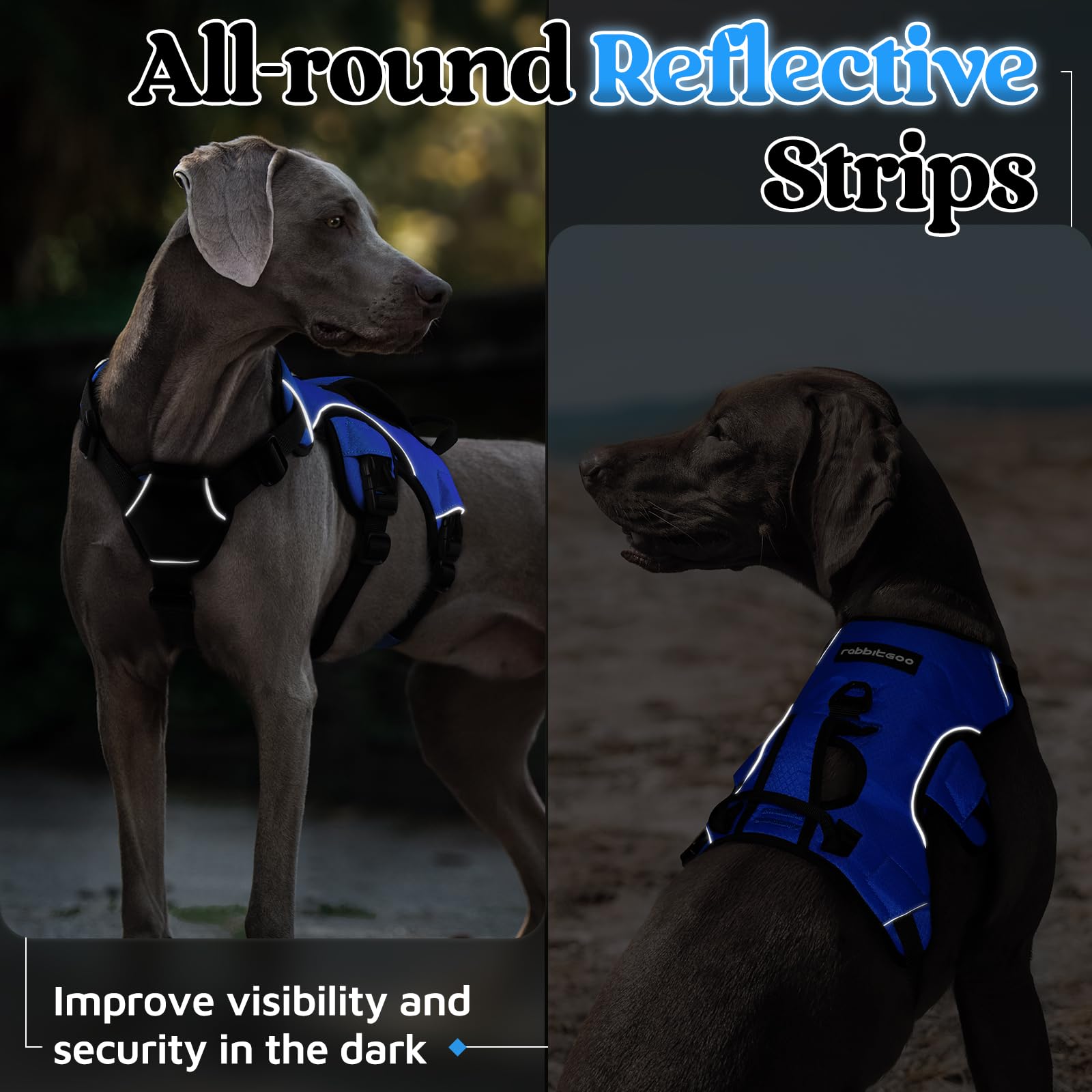 blue rabbitgoo escape-proof harness in use for large dogs on a hike