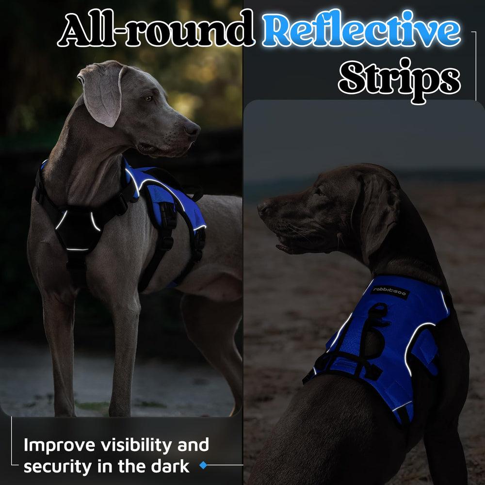 blue rabbitgoo escape-proof harness in use for large dogs on a hike