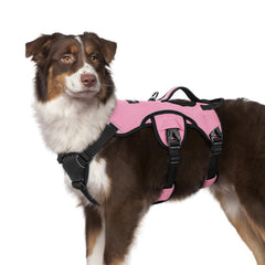 Rabbitgoo escape-proof dog harness with lift handle for obstacle navigation