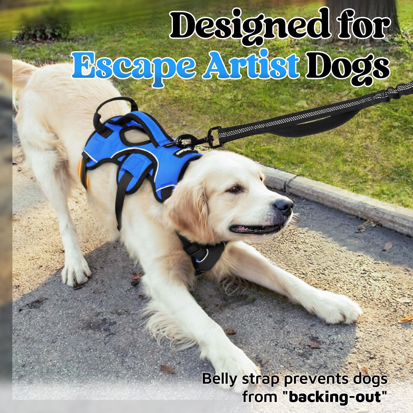 rabbitgoo harness with soft padded mesh for comfort on long walks
