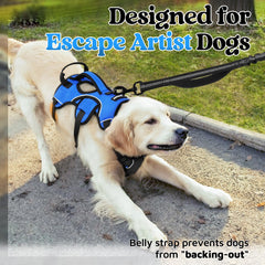 rabbitgoo harness with soft padded mesh for comfort on long walks