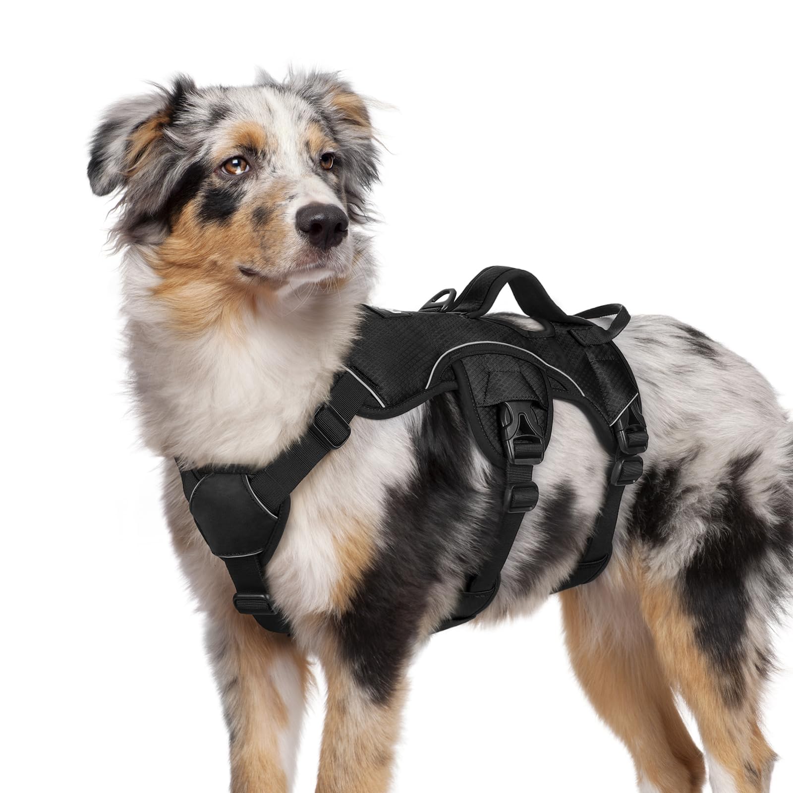 Rabbitgoo escape proof harness with chest and belly straps for secure daily walks