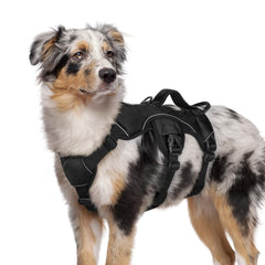 Rabbitgoo escape proof harness with chest and belly straps for secure daily walks