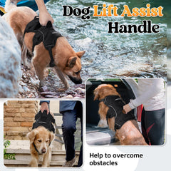 Rabbitgoo Escape-Proof Harness five adjustable straps, overview, ensures snug fit and better mobility.