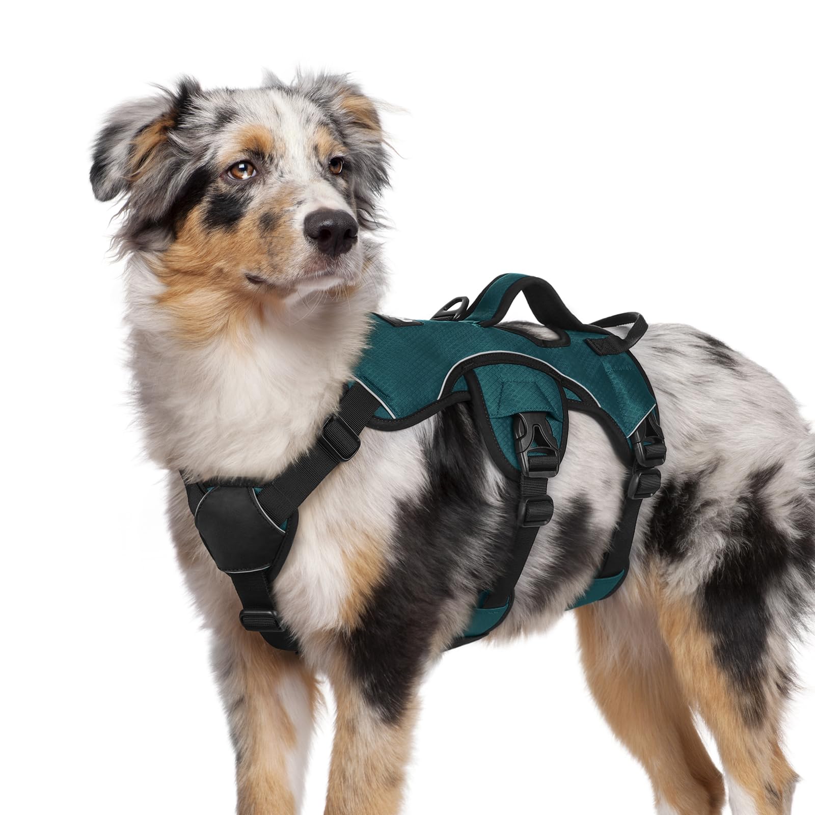 Rabbitgoo escape-proof harness front view highlights secure fit for energetic dogs.