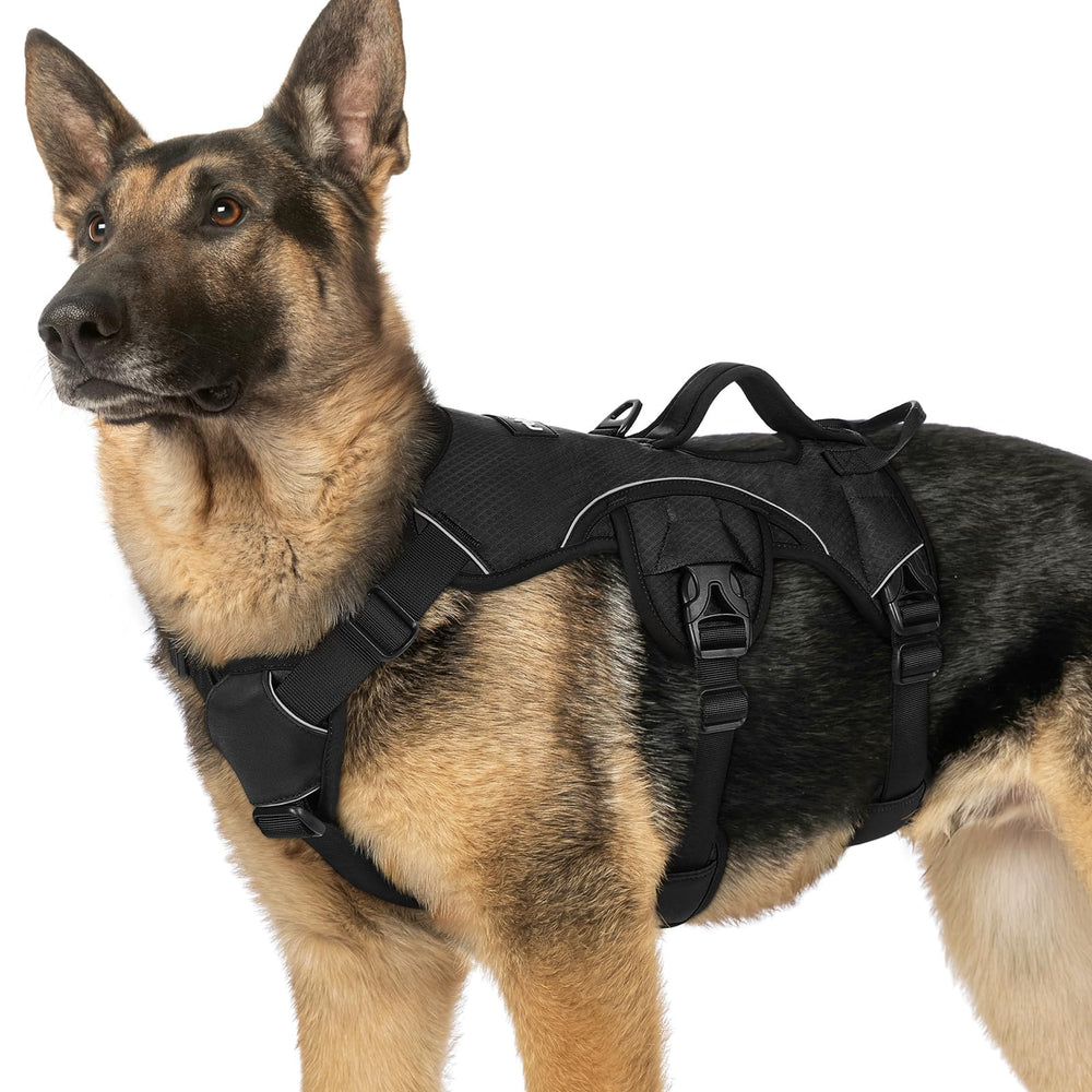 Rabbitgoo Escape-Proof Harness with large handle, front view, for secure grip and easy lifting.