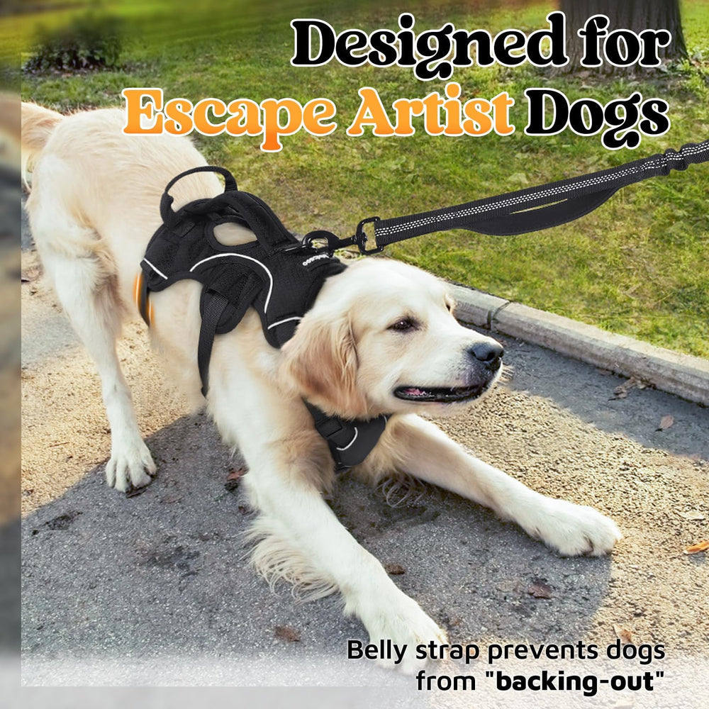 Rabbitgoo harness padding detail, close-up, protects skin during extended walks.