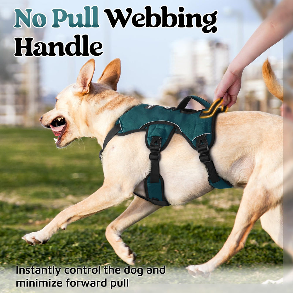 Rabbitgoo escape-proof harness reflective strips boost visibility in low light.