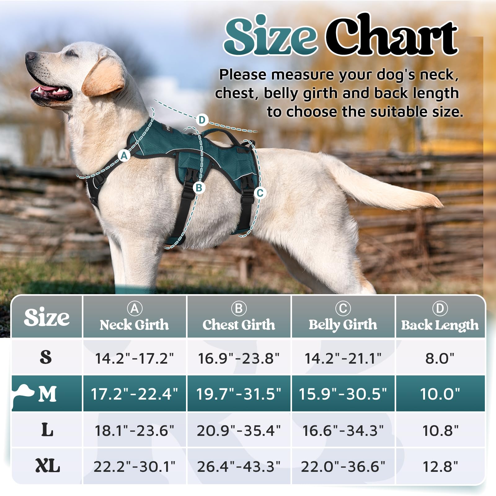 Rabbitgoo escape-proof harness side adjustments illustrate customizable comfort for growth.