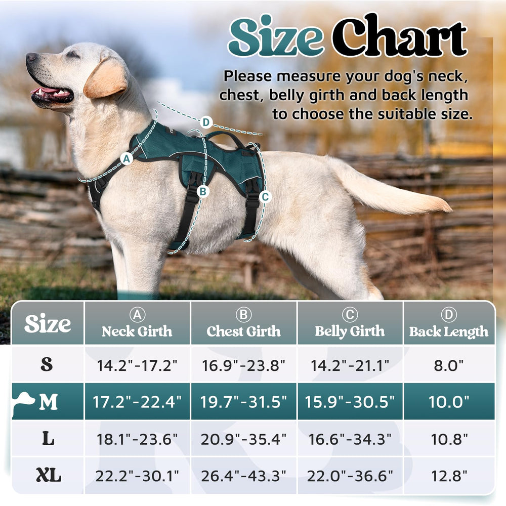 Rabbitgoo escape-proof harness side adjustments illustrate customizable comfort for growth.