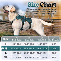 Rabbitgoo escape-proof harness side adjustments illustrate customizable comfort for growth.