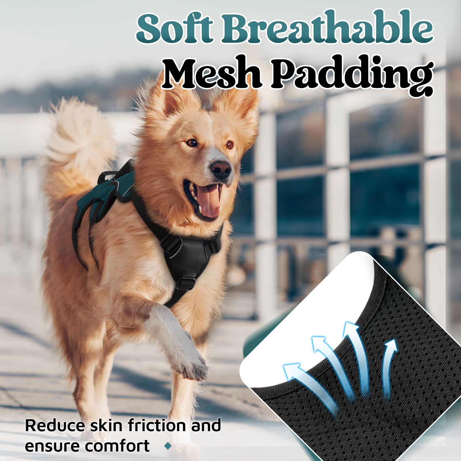 Rabbitgoo escape-proof harness soft sponge padding reduces skin friction.