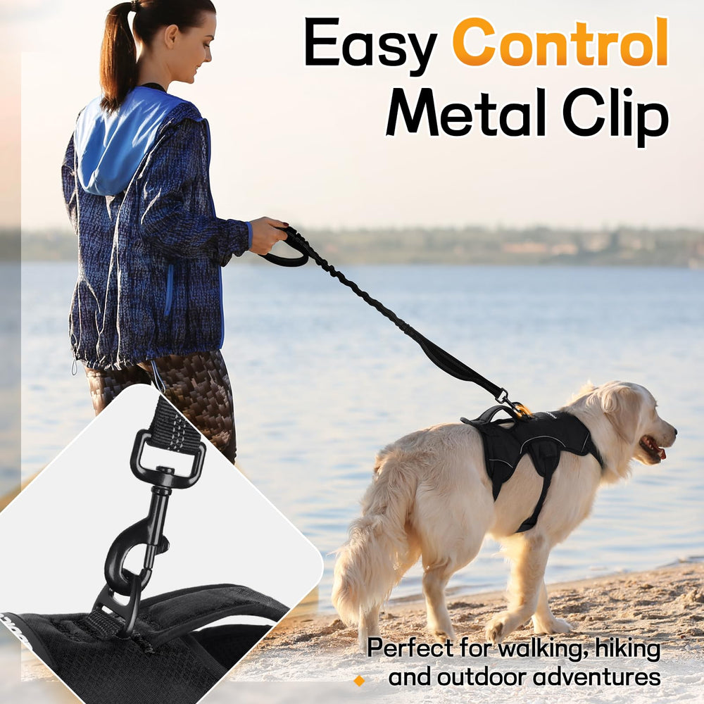 Rabbitgoo three-chest-strap design prevents escape for large dogs.
