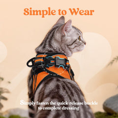 Rabbitgoo escape-proof-vest back-clip buckle secures leash for confident outings.