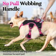 Rabbitgoo five-adjustable-straps ensure snug, comfortable fit.
