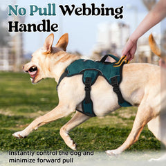 Rabbitgoo five-point adjustable fit demonstrated for snug security and mobility.