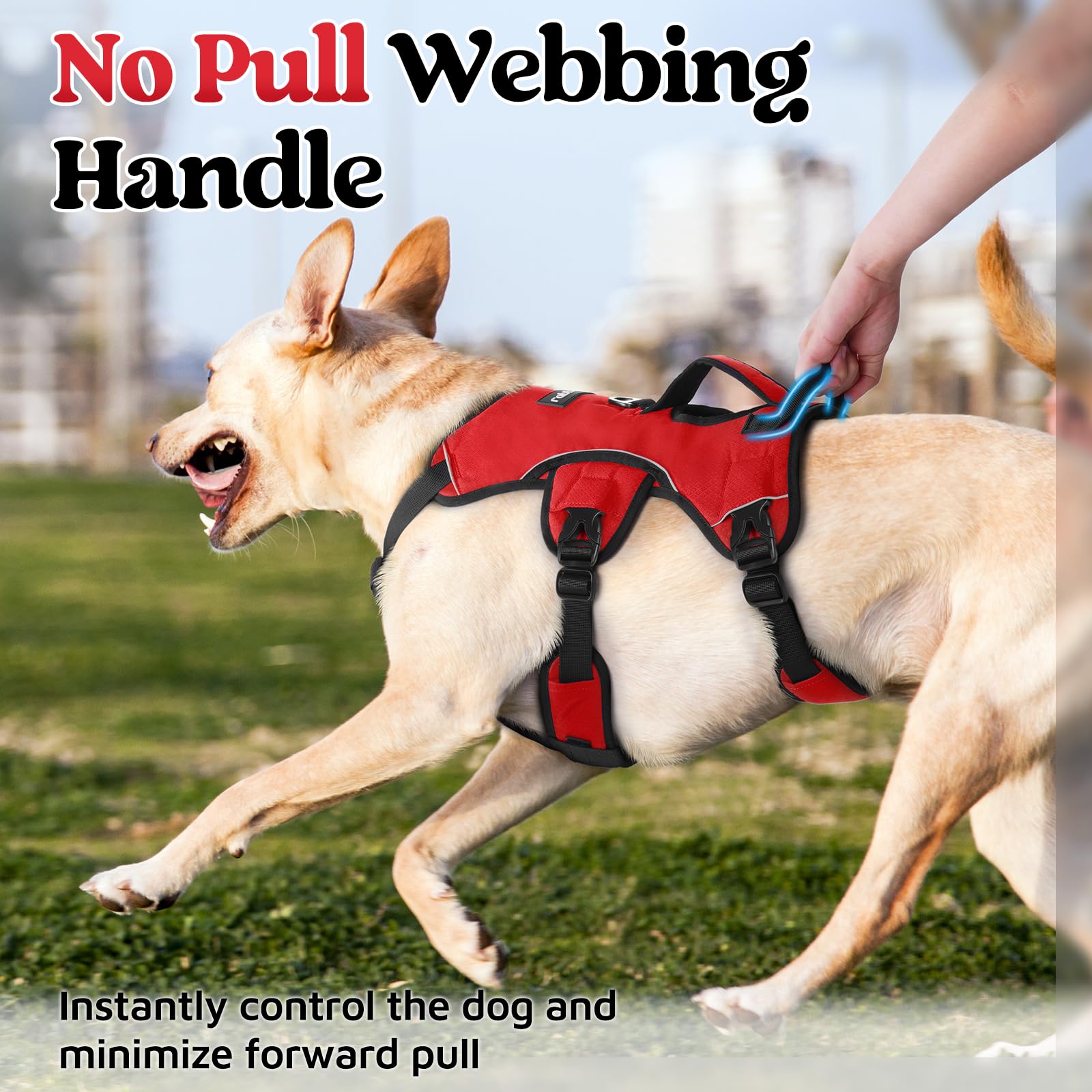 Five-point adjustable Rabbitgoo harness ensures snug, versatile fit