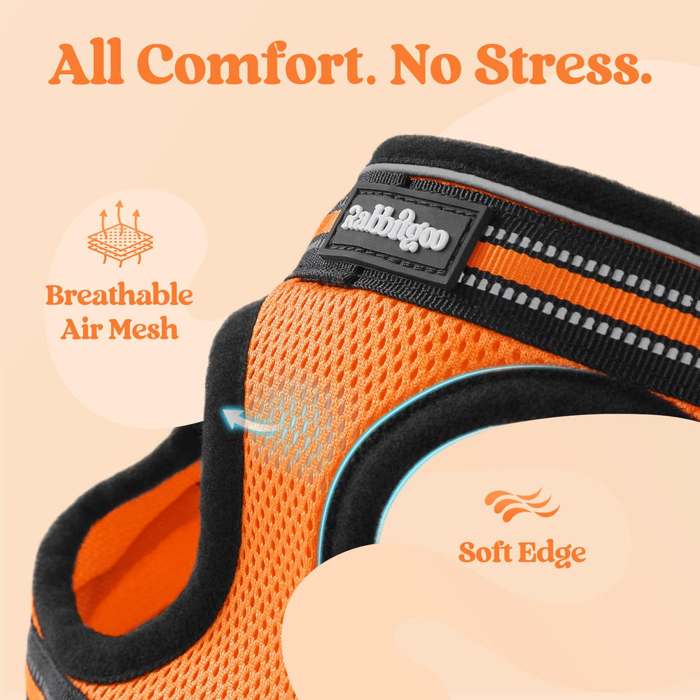 Rabbitgoo four-adjustable-straps provide precise fit for growing kittens.