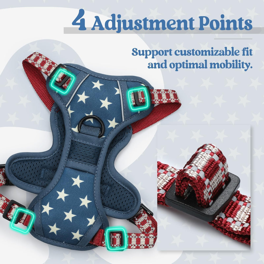 Rabbitgoo four-strap system provides a snug fit