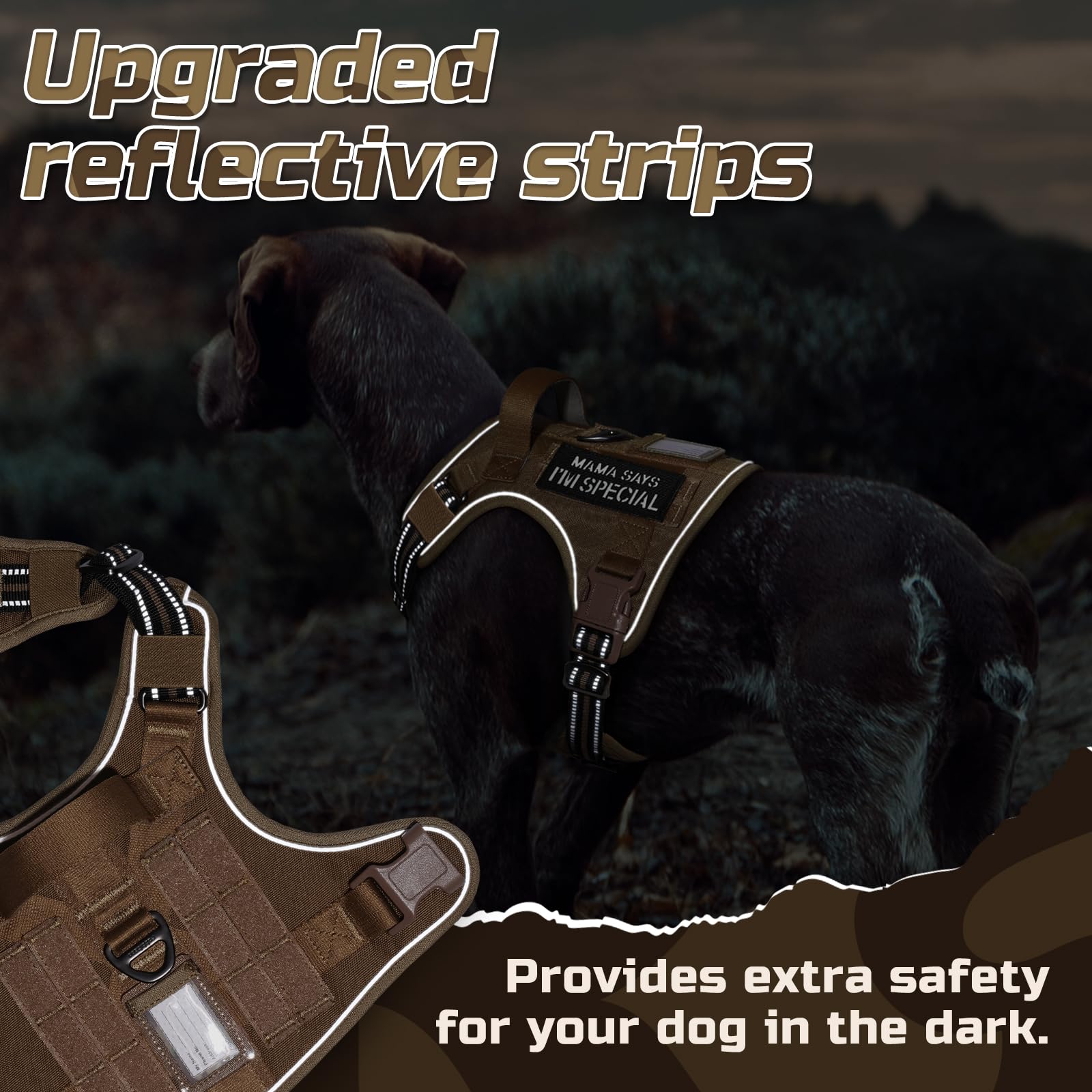 Rabbitgoo front no-pull clip and back clip enable versatile training control.