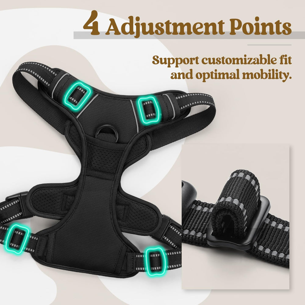 Rabbitgoo fully adjustable four-strap harness ensures secure, customizable fit.