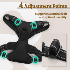 Rabbitgoo fully adjustable four-strap harness ensures secure, customizable fit.