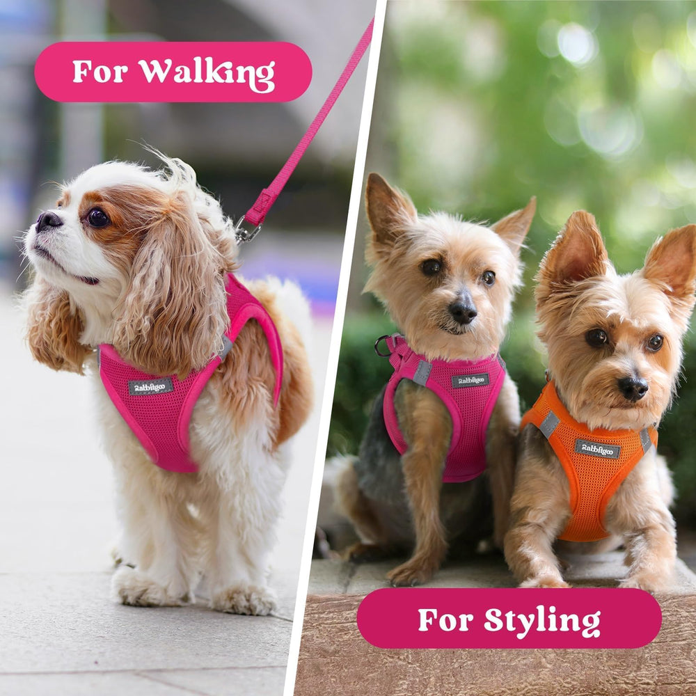 Gentle-on-fur design of Rabbitgoo harness for comfortable wear