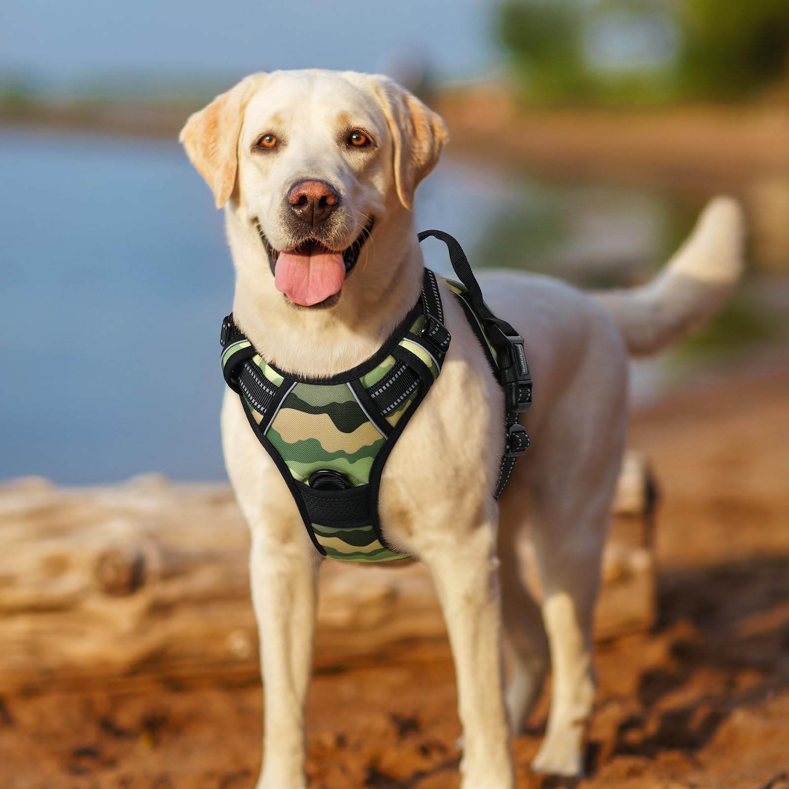 Classic Green Mountain colorway suits large breeds outdoor adventures.