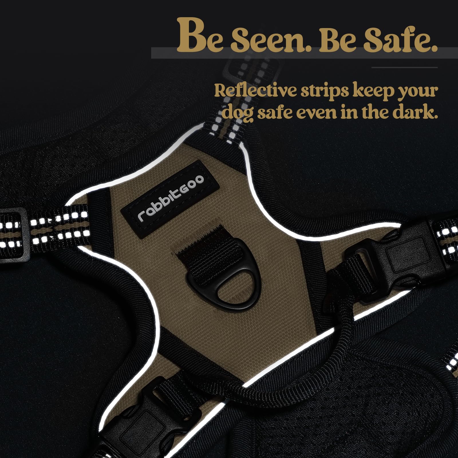 Rabbitgoo harness top handle for extra control during training.