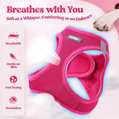 Rabbitgoo harness back view highlighting dual D-rings for versatile leash attachment