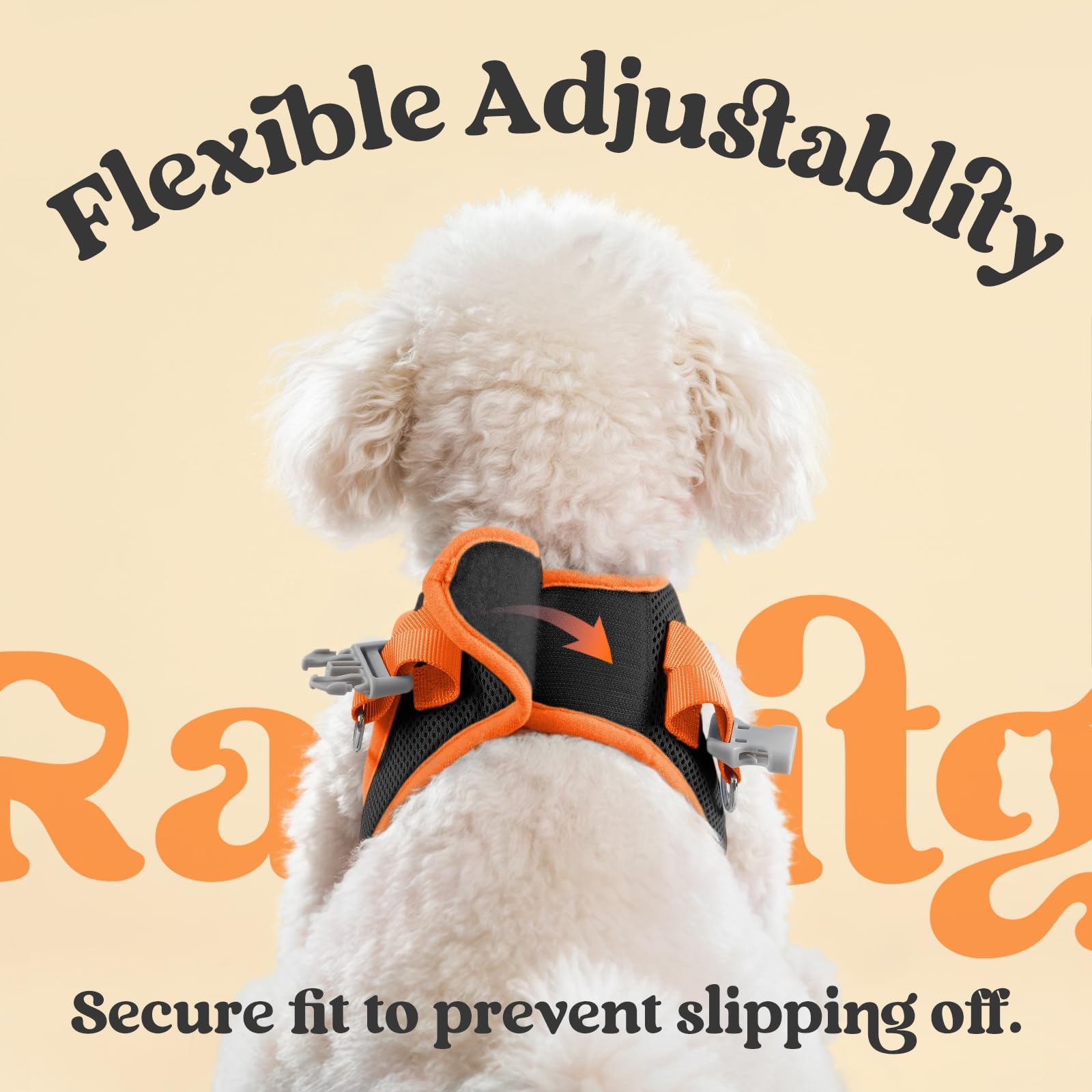 Rabbitgoo dual rear D-rings with buckle for secure outings