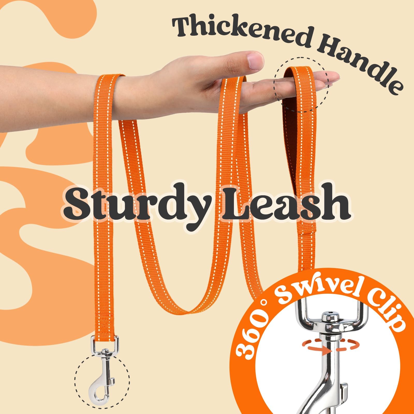 Rabbitgoo coordinated harness and leash set in black orange