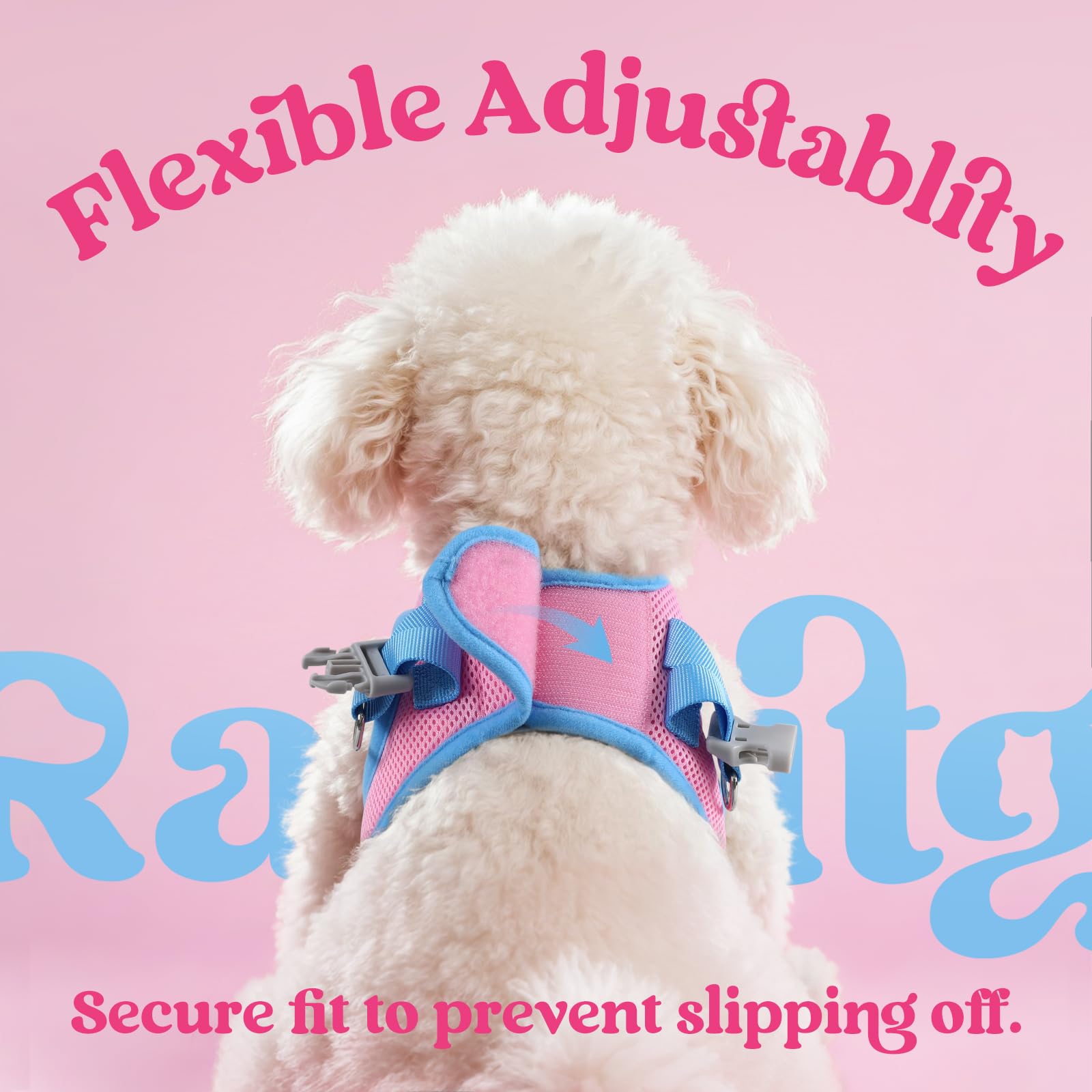 Rabbitgoo harness and leash set with coordinated color for a stylish look