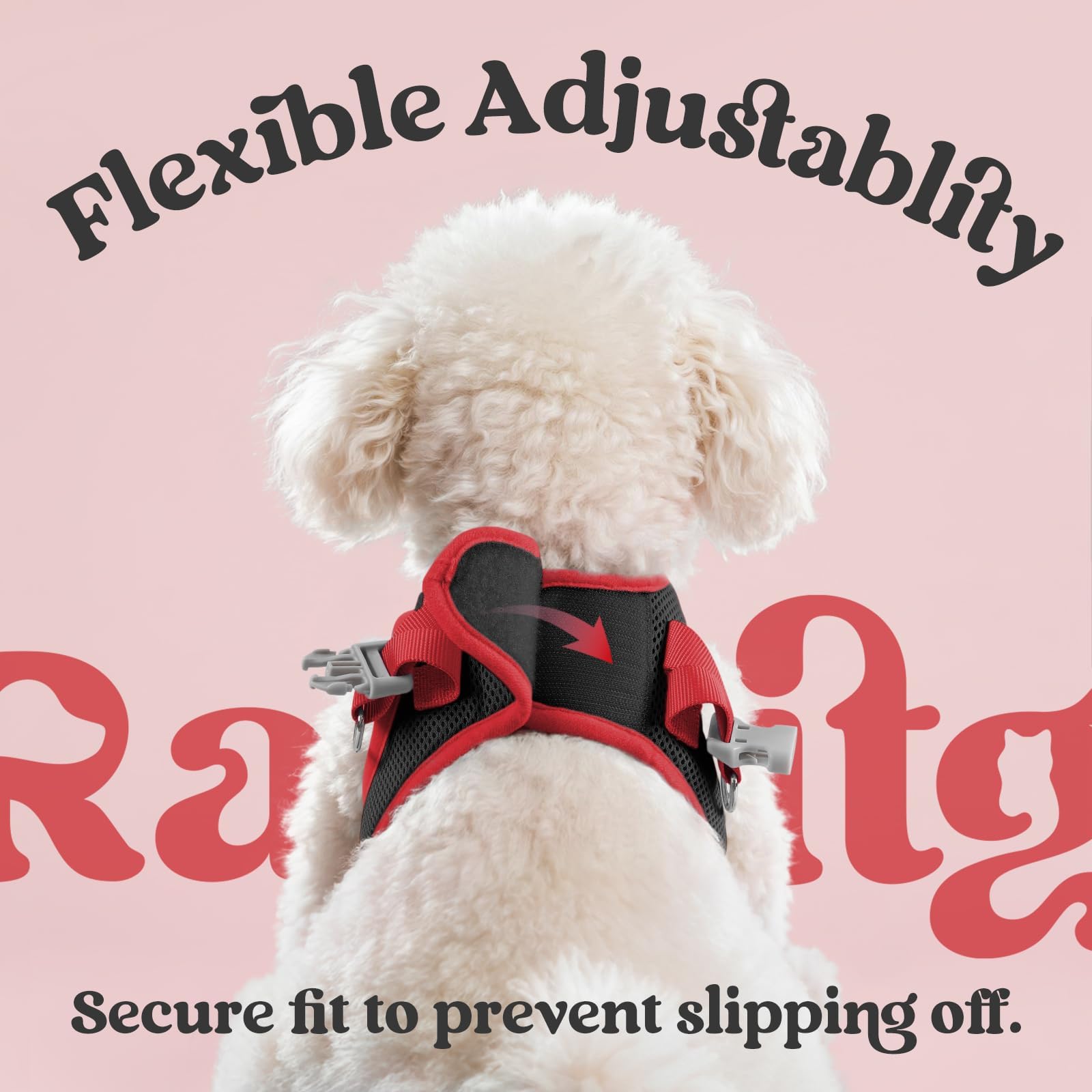 Rabbitgoo leash set matching color for coordinated outings.