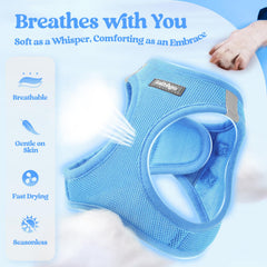 Rabbitgoo harness and leash set with reflective bands for safer outings.