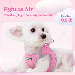 Rabbitgoo harness and leash set featuring reflective bands for visibility.