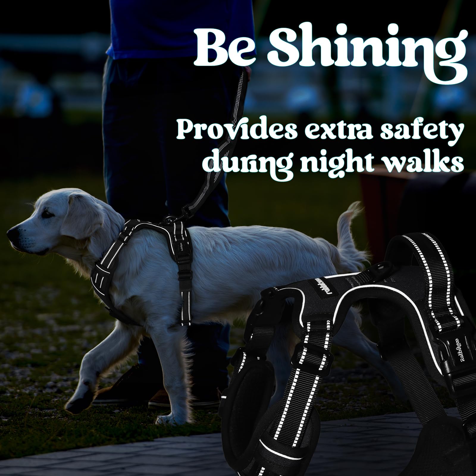 Rabbitgoo neck and chest straps adjust for growing dogs.