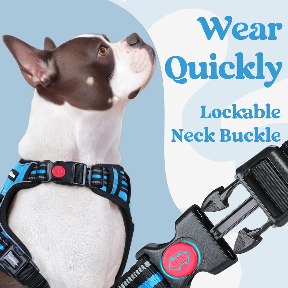 Rabbitgoo harness with reflective stitching for nighttime visibility