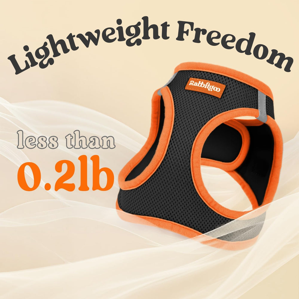 Rabbitgoo reflective strips boost visibility during night or dawn walks