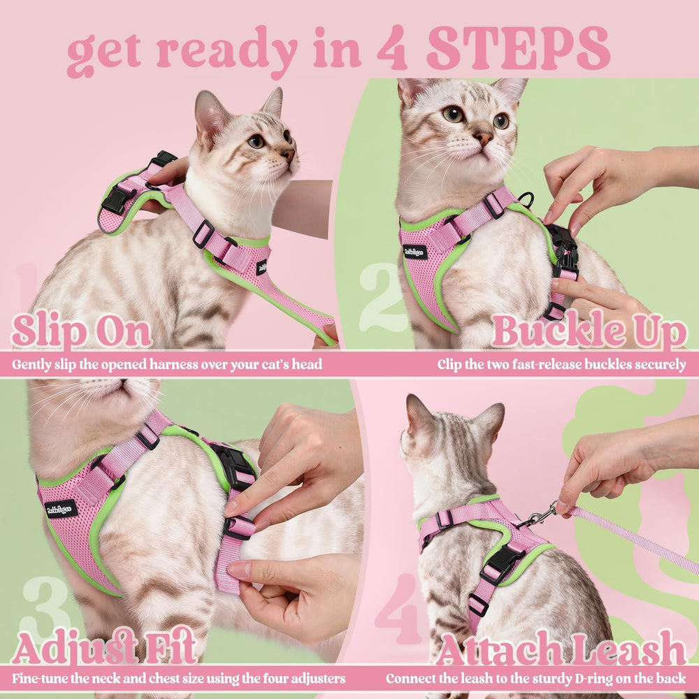 Rabbitgoo harness slip-over-head design for easy on-boarding.