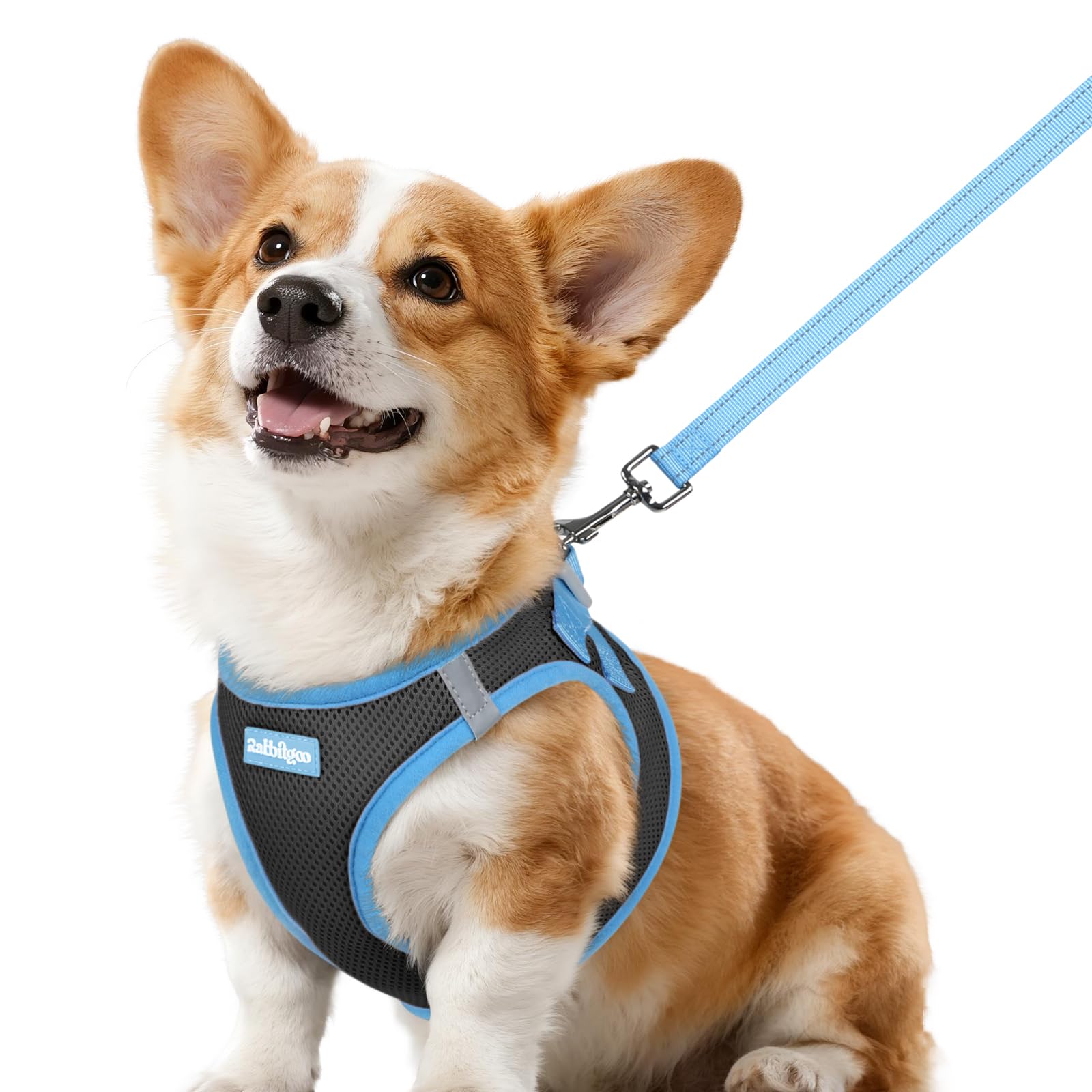 Rabbitgoo harness for small breeds with breathable mesh enhances daily comfort